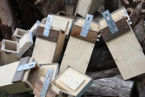Bat boxes ready for painting.